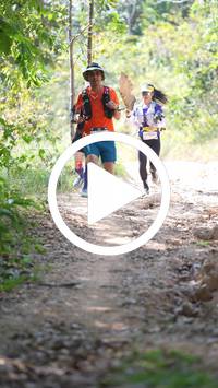 BIB:  <button type="button" onclick="openModal(27643403)" class="btn btn-primary btn-sm float-right" data-toggle="modal" data-target=".modal-high-quality">
                <i class="fa fa-download"></i> Download
                </button>